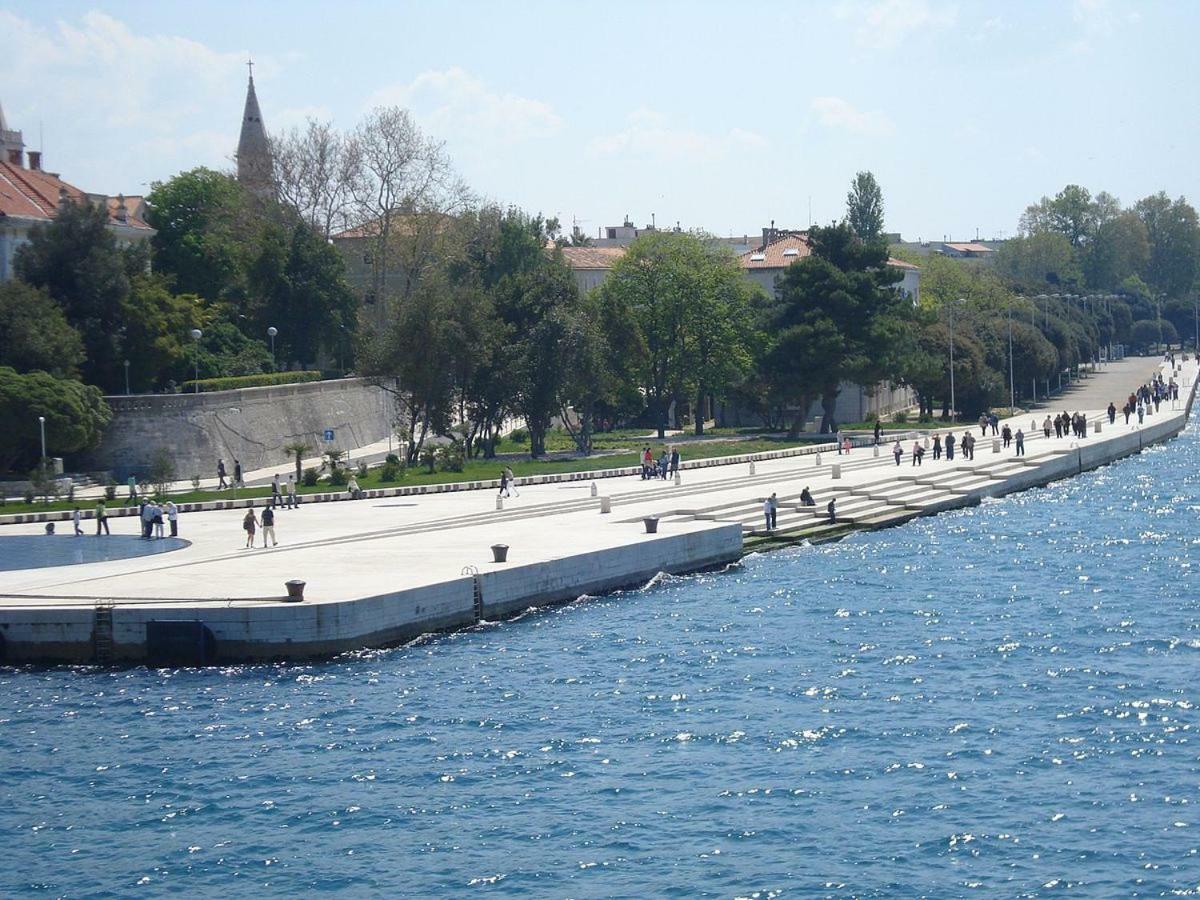 Armando * Zadar